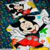 PREMIUM_FLOBER_TUYEN_PARIS_PINATA_ARREDO_MICKEY