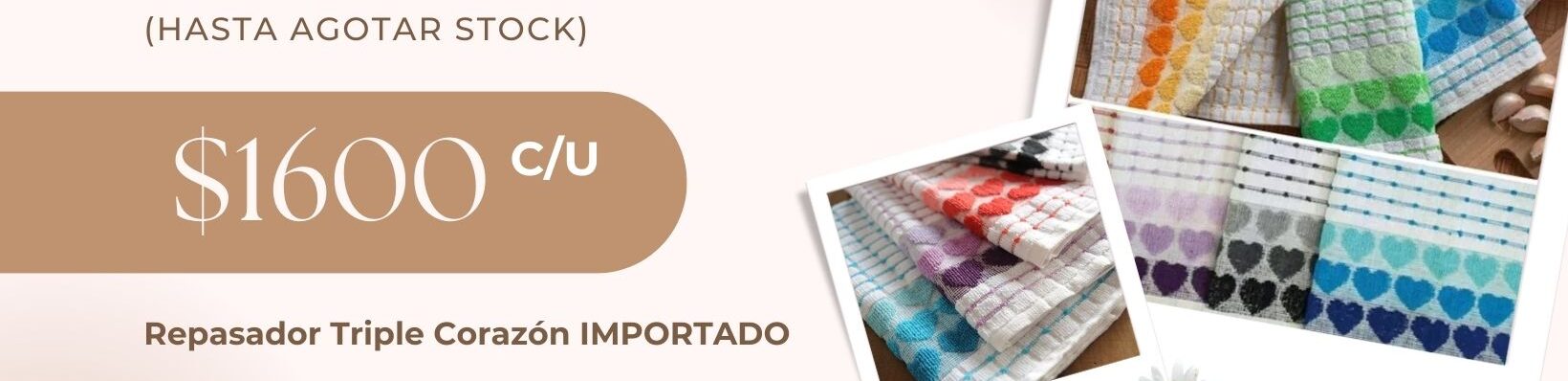 BANNER-CABECERA-REPASADORES_